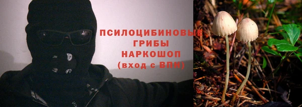 таблы Алексеевка
