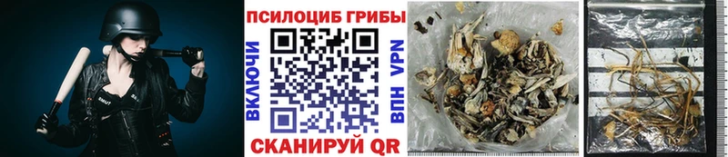 Галлюциногенные грибы мухоморы  Болхов 